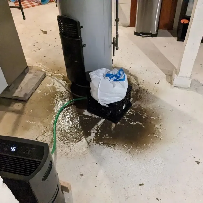 Sewage Backup Cleanup Service in Harris, MN